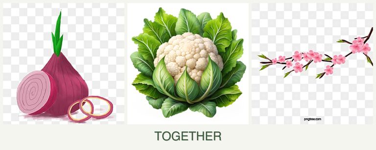 Can you plant onions, cauliflower and peaches together?