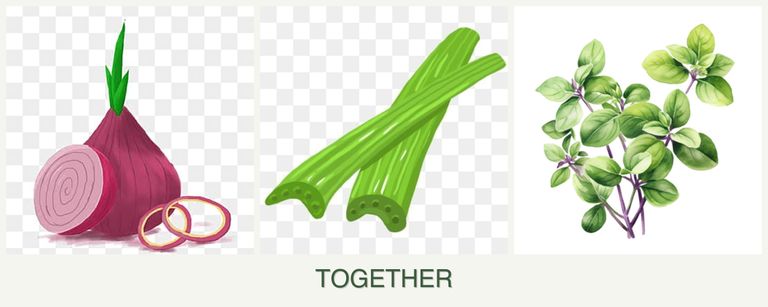 Can you plant onions, celery and oregano together?