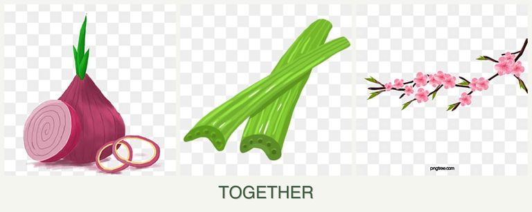 Can you plant onions, celery and peaches together?