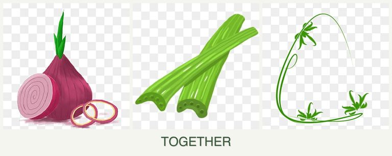 Can you plant onions, celery and tarragon together?