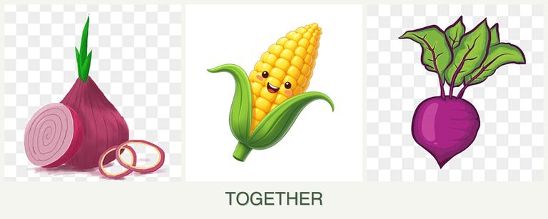 Can you plant onions, corn and beets together?