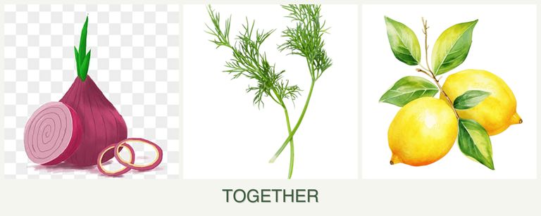 Can you plant onions, dill and lemons together?