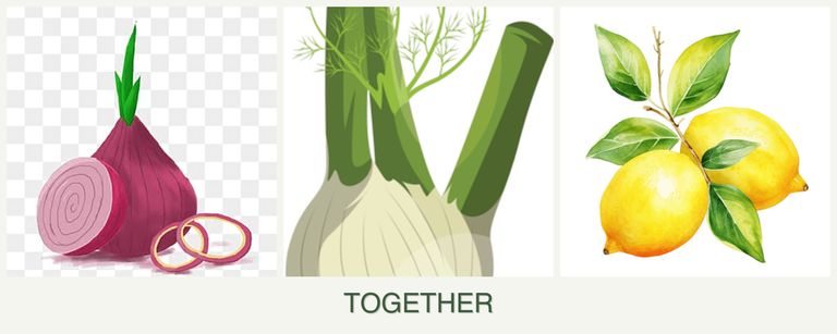 Can you plant onions, fennel and lemons together?