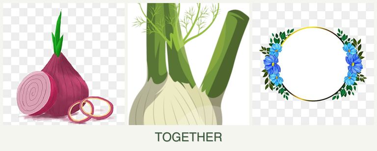 Can you plant onions, fennel and zinnias together?