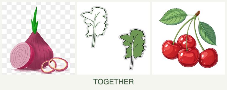 Can you plant onions, kale and cherries together?