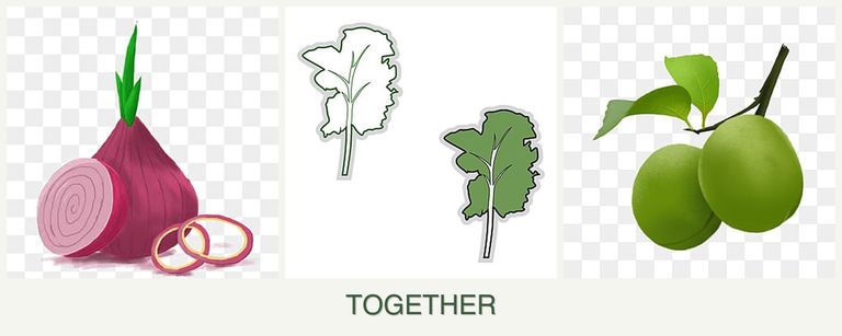 Can you plant onions, kale and plums together?