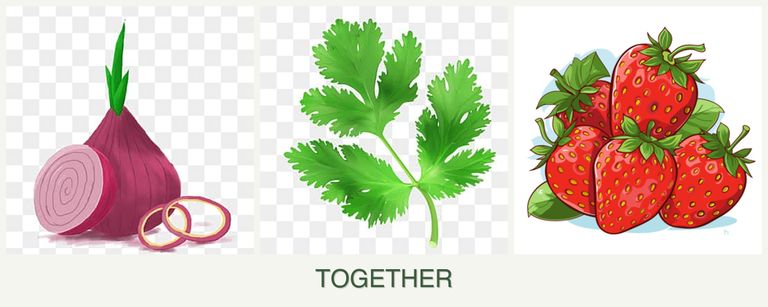 Can you plant onions, parsley and strawberries together?