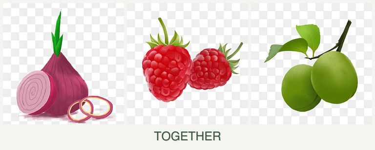 Can you plant onions, raspberries and plums together?