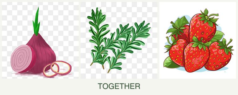 Can you plant onions, rosemary and strawberries together?