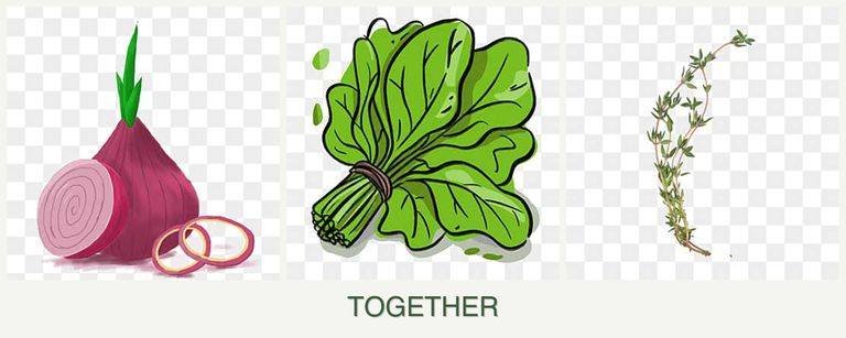 Can you plant onions, spinach and thyme together?