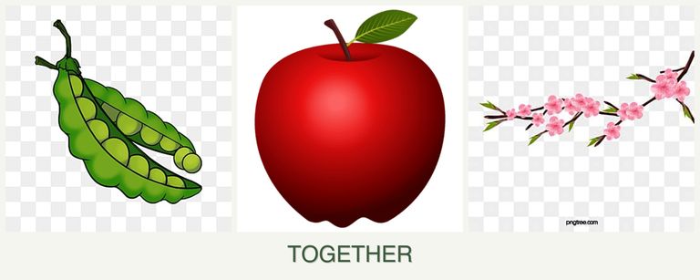 Can you plant peas, apples and peaches together?
