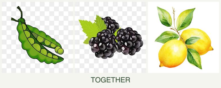 Can you plant peas, blackberries and lemons together?