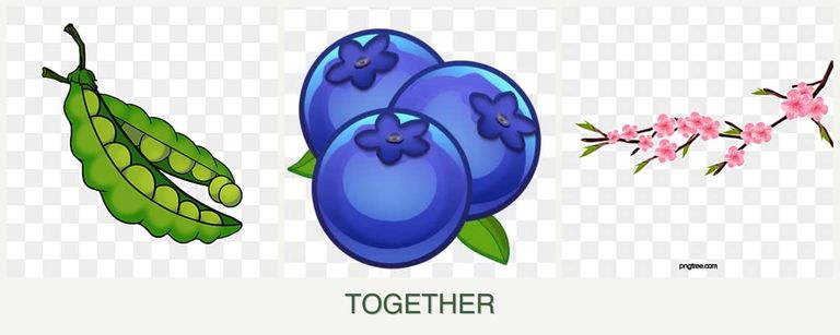 Can you plant peas, blueberries and peaches together?