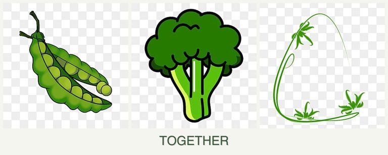 Can you plant peas, broccoli and tarragon together?