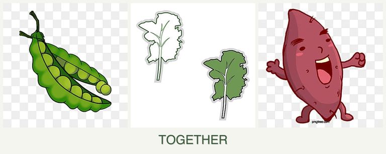 Can you plant peas, kale and sweet potatoes together?