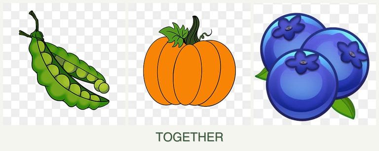 Can you plant peas, pumpkin and blueberries together?