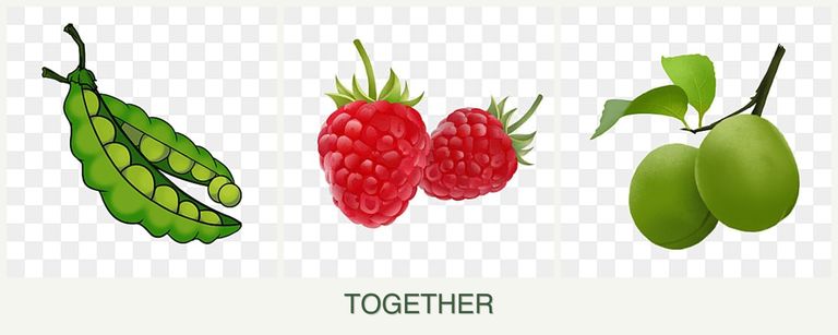 Can you plant peas, raspberries and plums together?