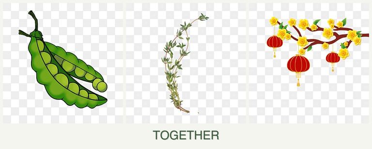 Can you plant peas, thyme and apricots together?