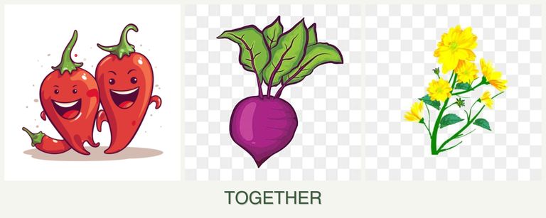 Can you plant peppers, beets and calendula together?