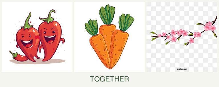 Can you plant peppers, carrots and peaches together?