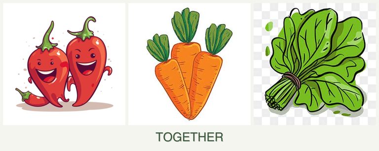 Can you plant peppers, carrots and spinach together?
