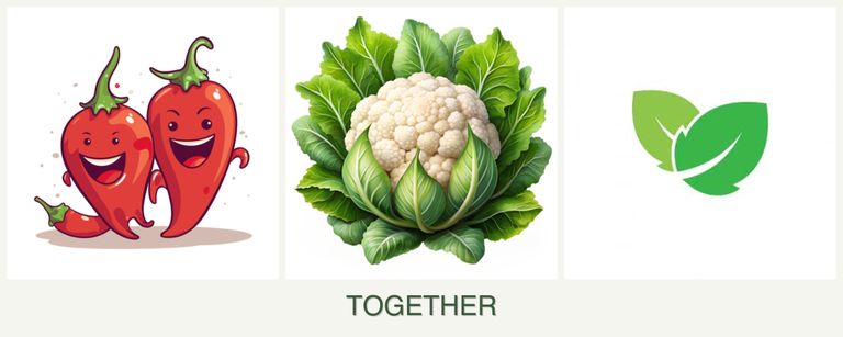 Can you plant peppers, cauliflower and mint together?