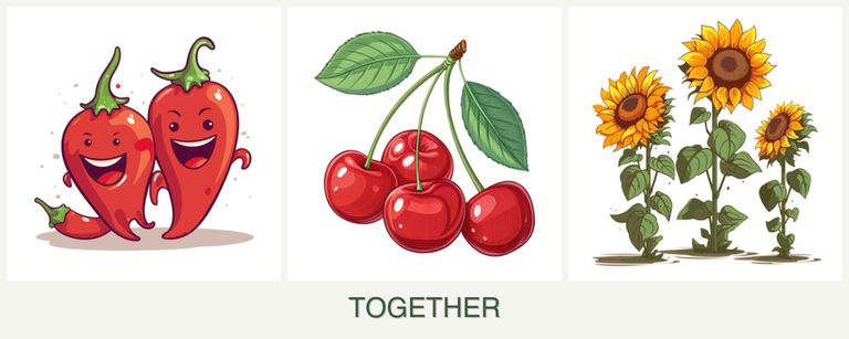 Can you plant peppers, cherries and sunflowers together?