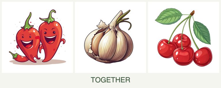 Can you plant peppers, garlic and cherries together?