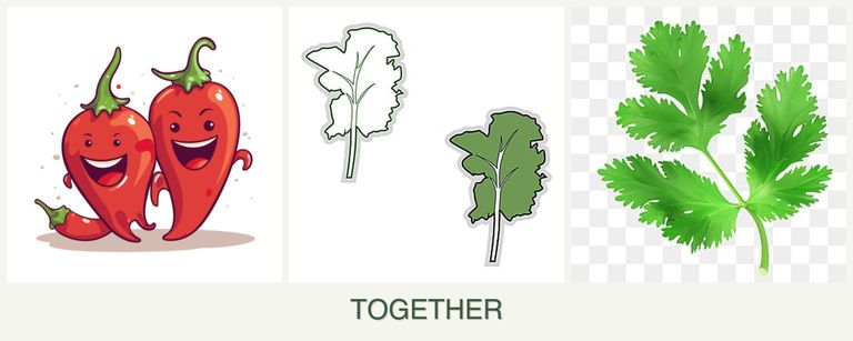 Can you plant peppers, kale and parsley together?