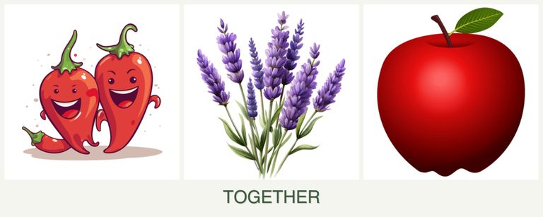 Can you plant peppers, lavender and apples together?