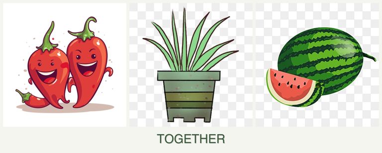 Can you plant peppers, lemongrass and melons together?