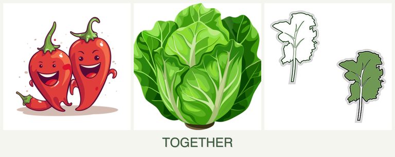 Can you plant peppers, lettuce and kale together?