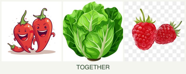 Can you plant peppers, lettuce and raspberries together?
