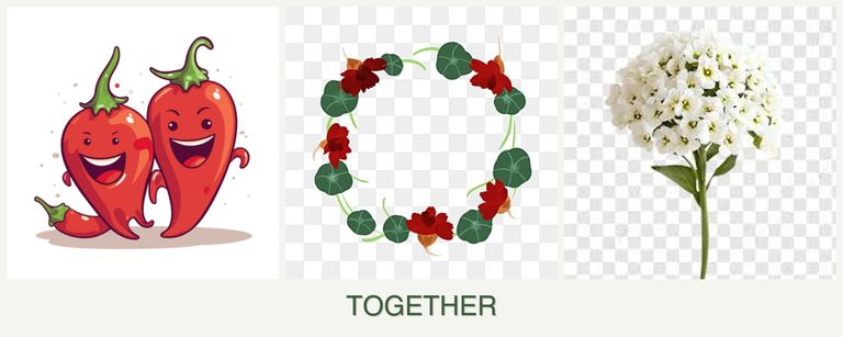 Can you plant peppers, nasturtiums and alyssum together?