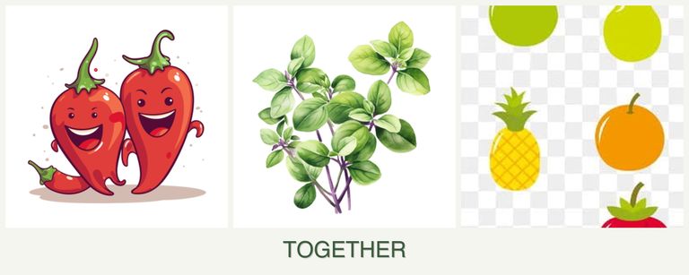 Can you plant peppers, oregano and pears together?