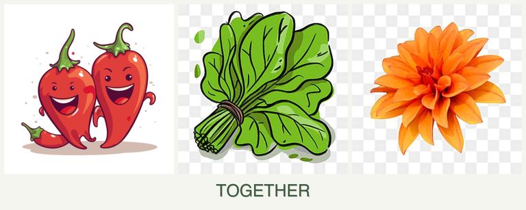 Can you plant peppers, spinach and dahlias together?