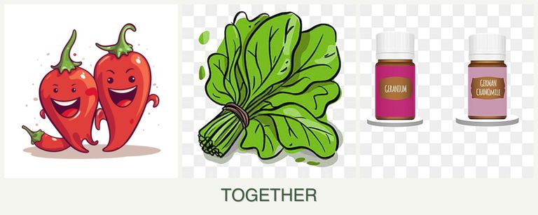 Can you plant peppers, spinach and geraniums together?