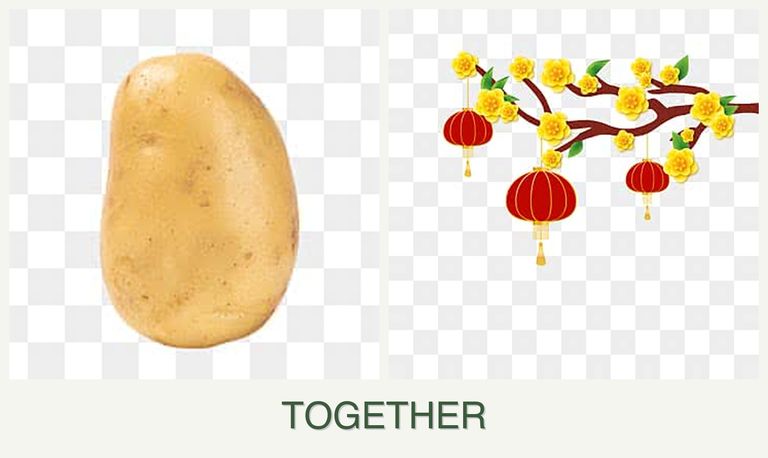 Can you plant potatoes and apricots together?