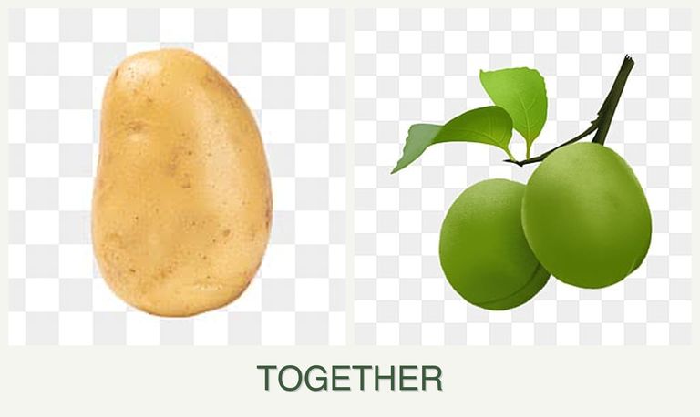 Can you plant potatoes and plums together?