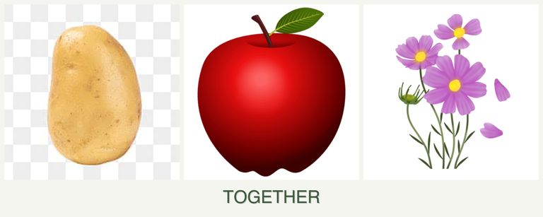 Can you plant potatoes, apples and cosmos together?
