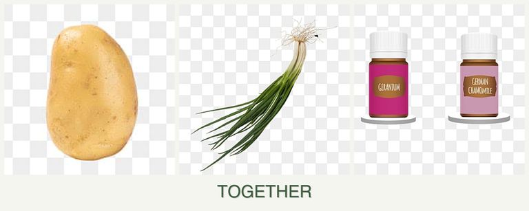 Can you plant potatoes, chives and geraniums together?