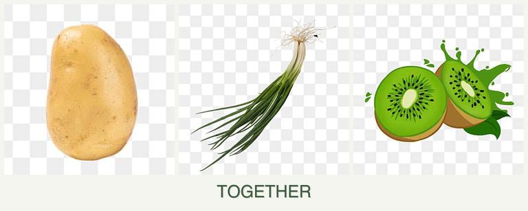 Can you plant potatoes, chives and kiwi together?