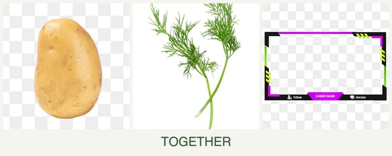 Can you plant potatoes, dill and limes together?