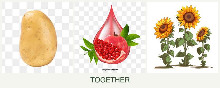 Can you plant potatoes, pomegranates and sunflowers together?