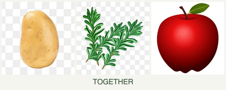 Can you plant potatoes, rosemary and apples together?