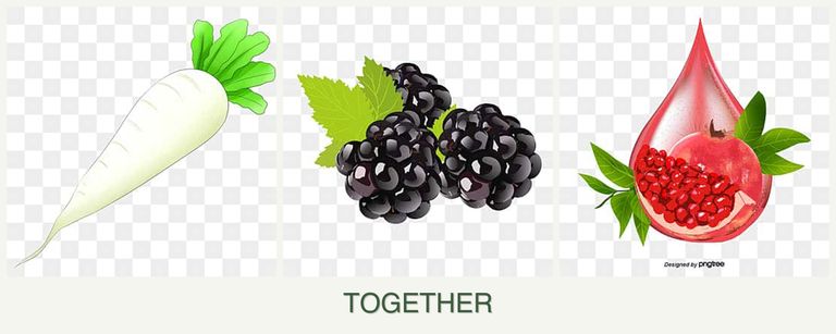 Can you plant radishes, blackberries and pomegranates together?