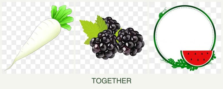 Can you plant radishes, blackberries and watermelons together?