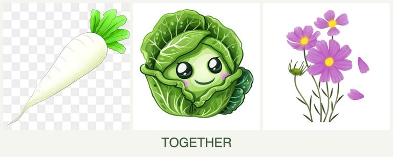 Can you plant radishes, cabbage and cosmos together?