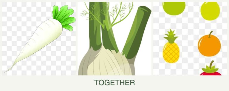 Can you plant radishes, fennel and pears together?