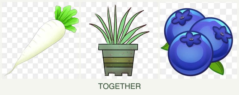 Can you plant radishes, lemongrass and blueberries together?
